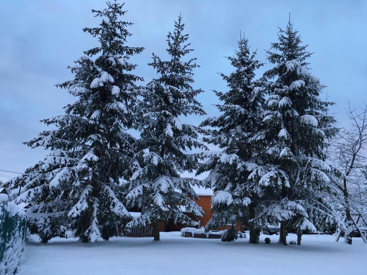 Ubytovani U Rybnicka Villa Arnoltice u Decina ภายนอก รูปภาพ